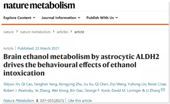 Nature Metabolism：提示醉酒后的行为是大脑代谢酒精导致的，并不是肝脏