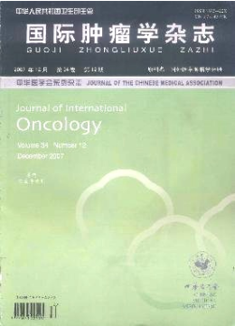 国际肿瘤学杂志
