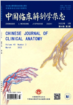 中国临床解剖学杂志的出版周期