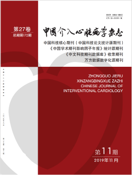 中国介入心脏病学杂志是核心期刊吗
